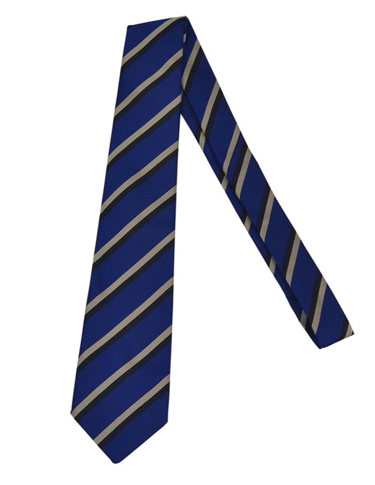 ASHFIELD GIRLS TIE, Ashfield Girls High School