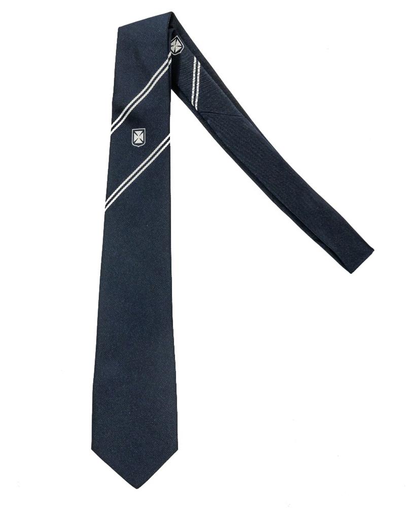 METHODY 6TH FORM TIE, Methodist College Belfast