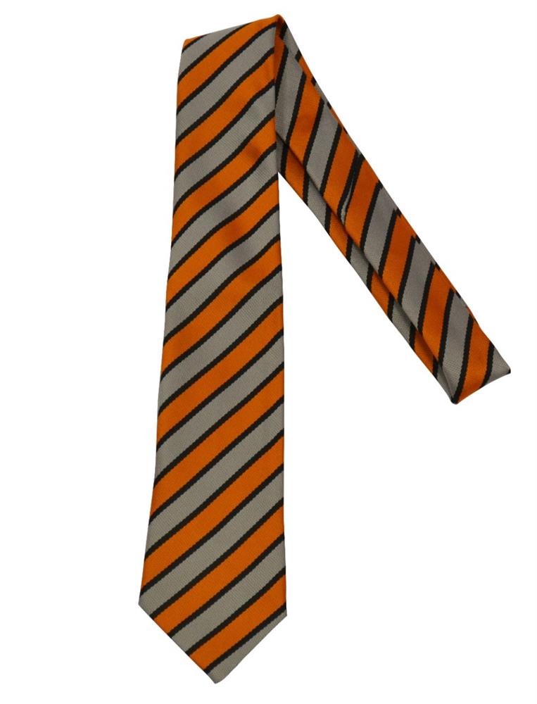 HARMONY HILL P2-P7 TIE, Harmony Hill Primary School