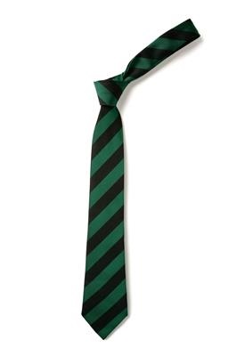 FINAGHY PRIMARY TIE, Finaghy Primary School