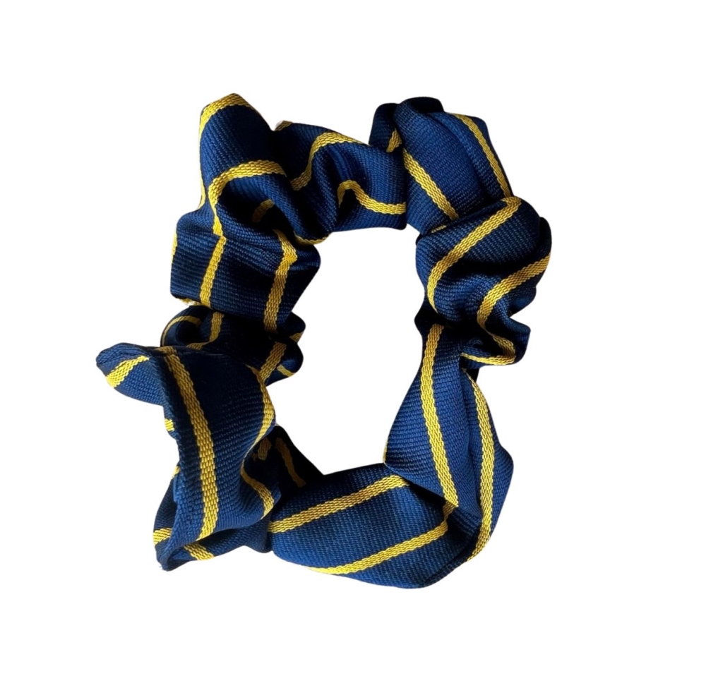 ST BRIDES SCRUNCHIE, St Brides Primary School