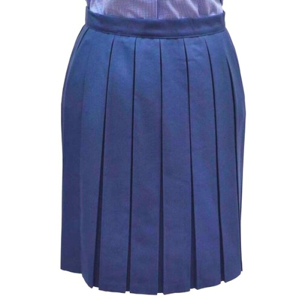 ASHFIELD GIRLS PLEATED SKIRT, Ashfield Girls' High School