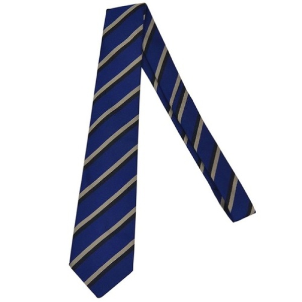 ASHFIELD GIRLS TIE, Ashfield Girls' High School