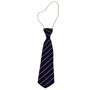 ST BRIDES ELASTIC P1 TIE, St Bride's Primary School