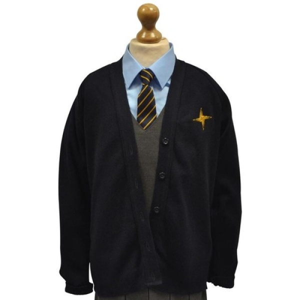 ST BRIDES CARDIGAN, St Bride's Primary School