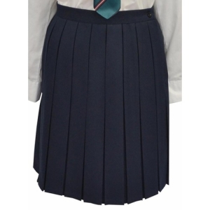 WELLINGTON BLUE PLT SKIRT 1-5, Wellington College