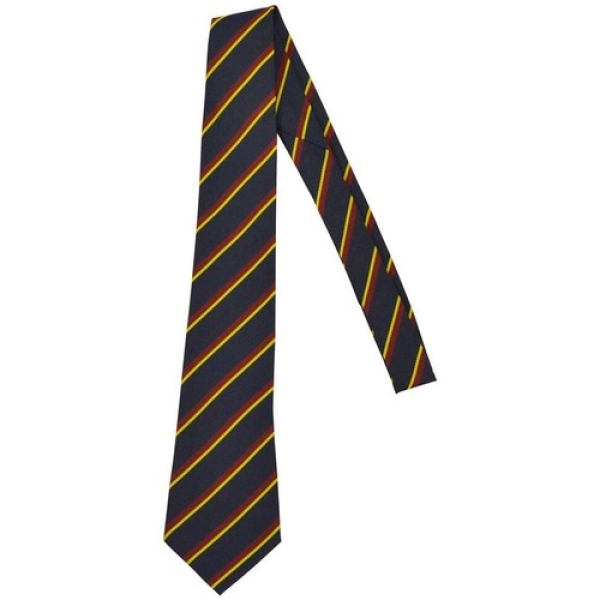 WALLACE HIGH GIRL 6TH FORM TIE, The Wallace High School